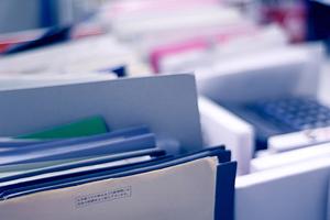 ガチャガチャの森：多彩なコレクションが楽しめるおもちゃの宝箱